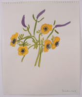 Yellow Anemone/Purple Veronica II Series I 2003 Watercolor, pencil on paper