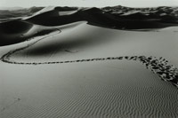 Peter Harron Camel Tracks Silver gelatin print - 2007