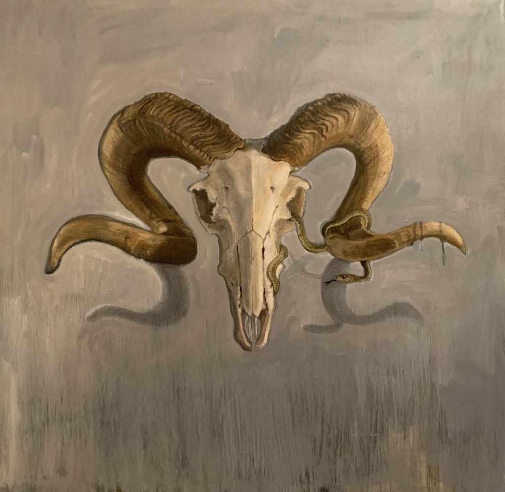Melissa Barbieri, Ram Skull with Snake, 2020, oil on Belgian linen. Courtesy of the artist.